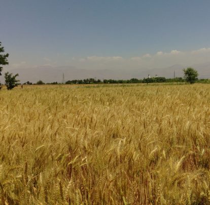 احیا چاه آب